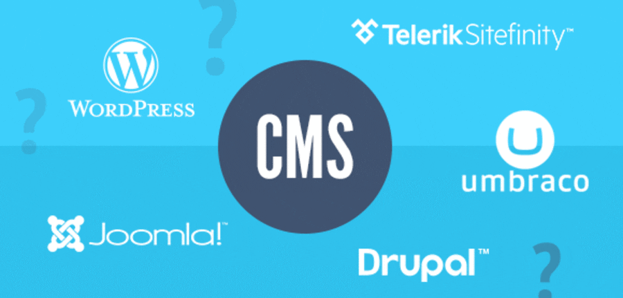 how-to-choose-a-cms-for-your-business